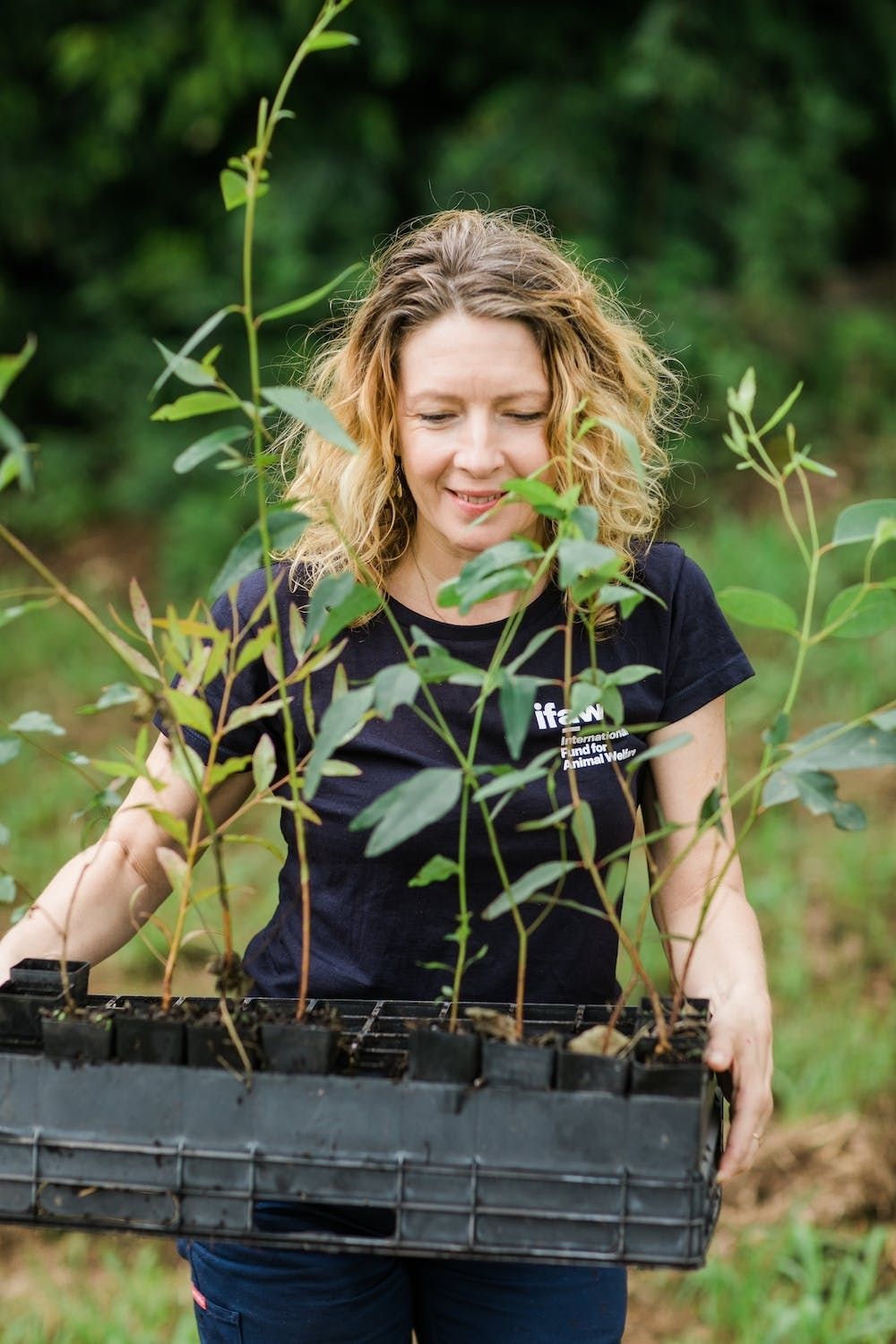 Woman holding tray of potted saplings